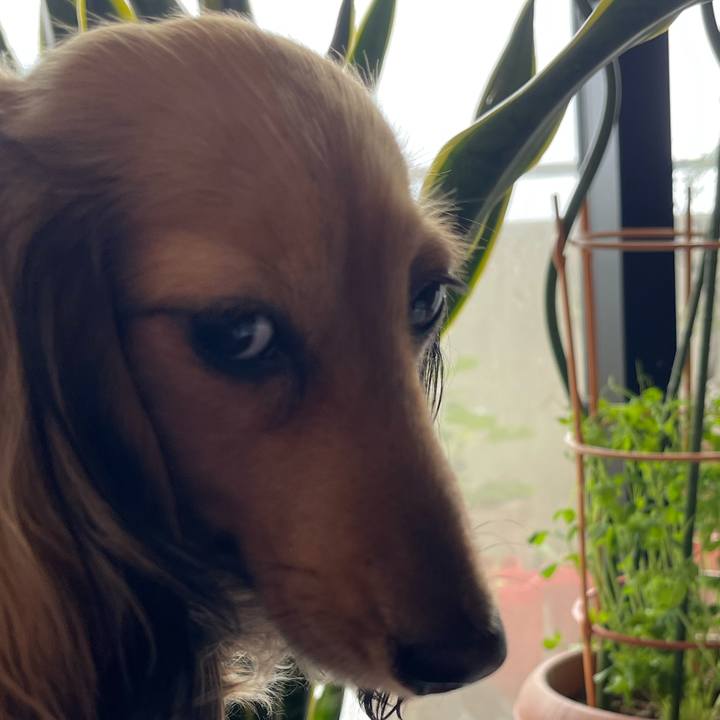 E60af1f7 905e 423a a13a 4d3db6d65e28 1682819796890