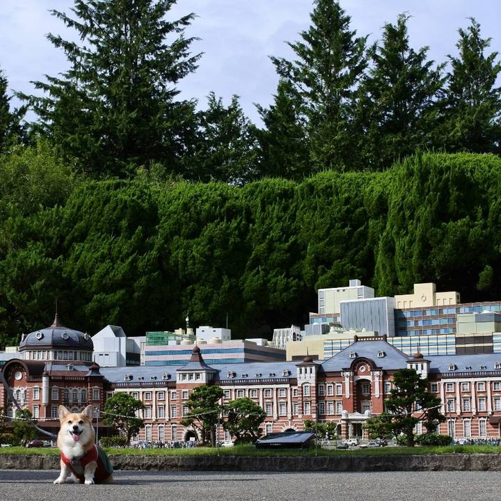 E60b0eff 66f7 42e9 9f66 148a2d748ef8 1764074200893