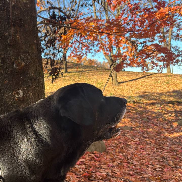 E60b1582 f44a 4915 9234 163b373197e0 1763981657700