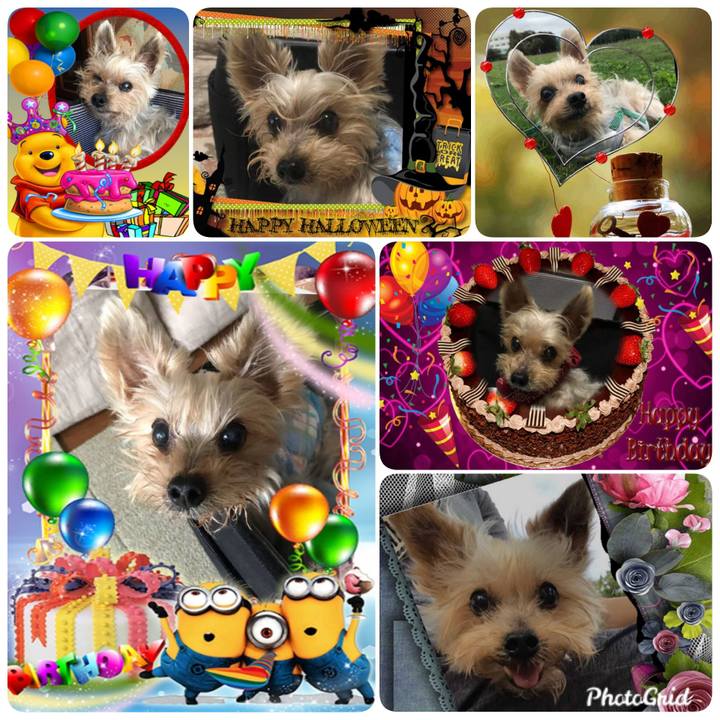 E60b168c 5b15 4c52 a90a 0360a216e54d 1570488048087