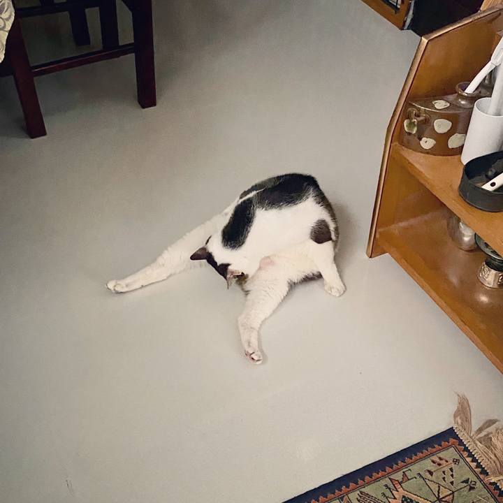 E60b47be 9014 41a8 a8a9 9d31fac7ceee 1595504430285