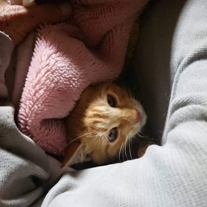 E60b9012 1332 4dc9 8ee7 9e3d2205d139 1633638881666