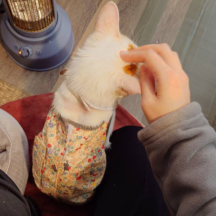 E60be79b 82a0 4bdd 888a 8099c495f239 1771022950061