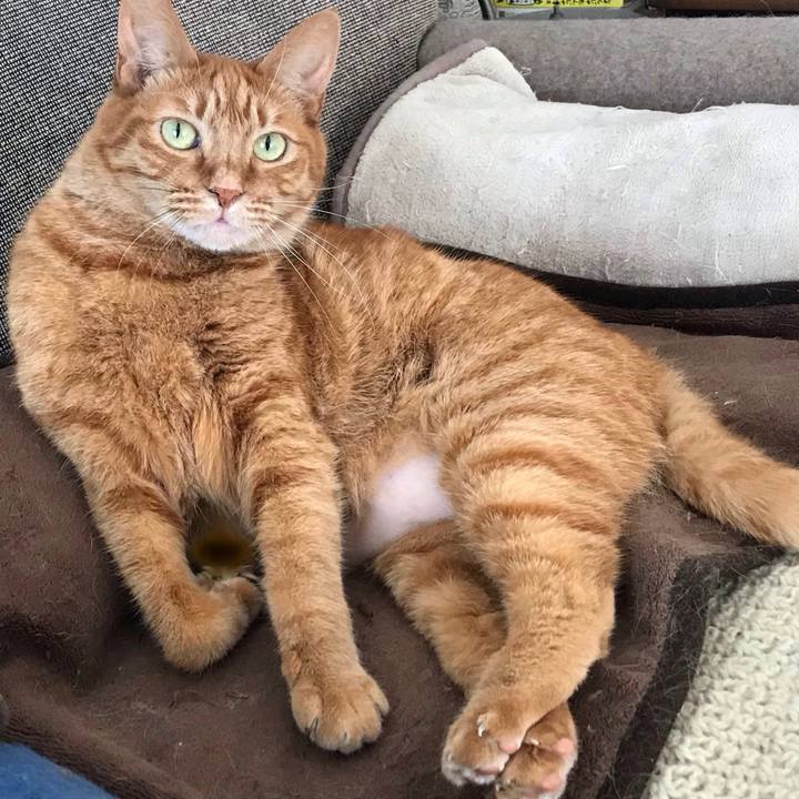 E60c15ab e64c 47c5 9f7c 21724beb7e70 1580704326209