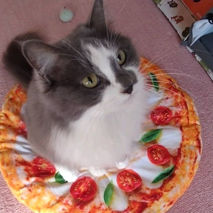 E60c160a 58d1 4715 93eb 31ea7d55df3b 1641695761102