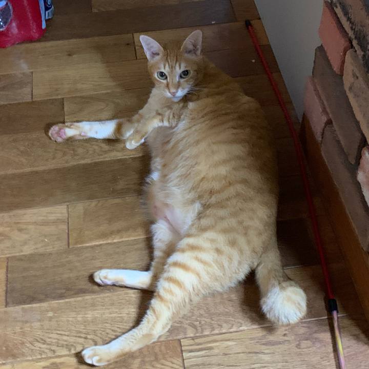 E60cf24d 46c7 42f1 bfba 4db152875719 1574892663326