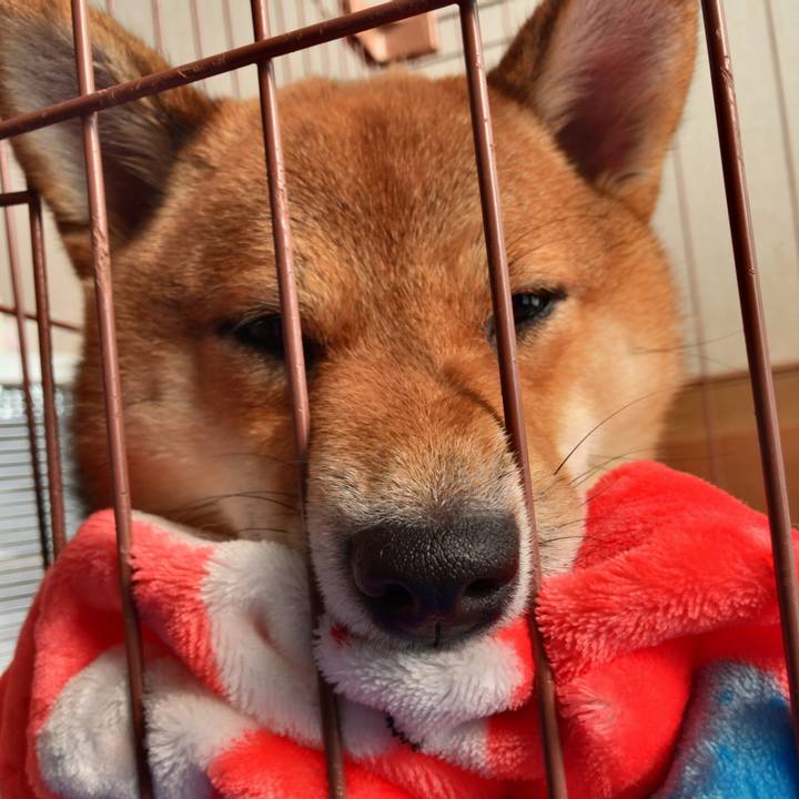 E60d192f d97b 43af 8ace a740bc162e08 1524356402934