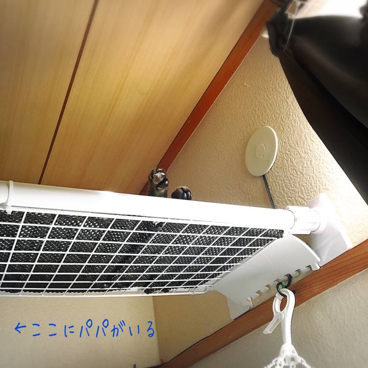 E60d2740 26b4 4aad 85ec 3c6a08f5c219 1541915175681