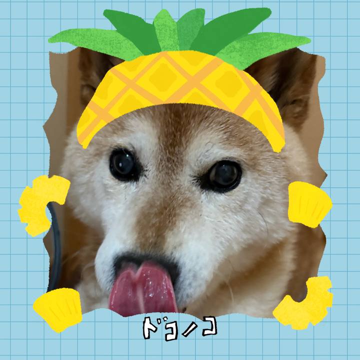 E60d4ebd 0b91 4a91 9f8f 2d591bee0ef4 1783327141681