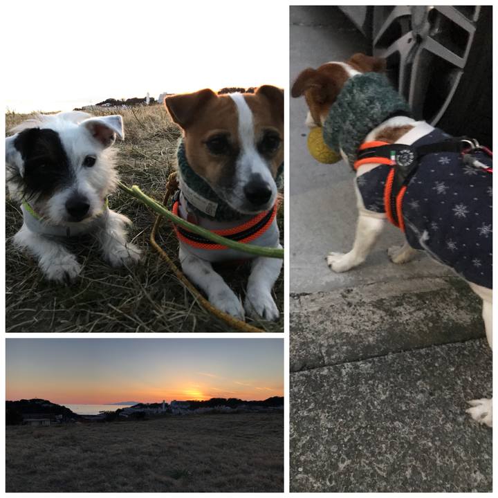 E60d5fff 29f1 496e b8a1 640a1e394a9b 1513239734863