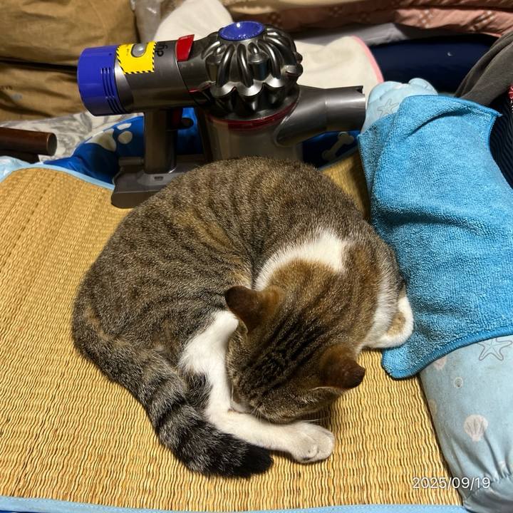 E60d7fb4 1aa3 47c5 9438 0218927cd25c 1758233823563