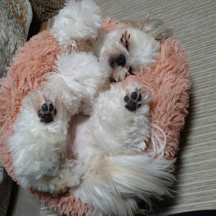 E60d8eb7 a41d 4845 a5d5 3bbd1d599535 1616553922058