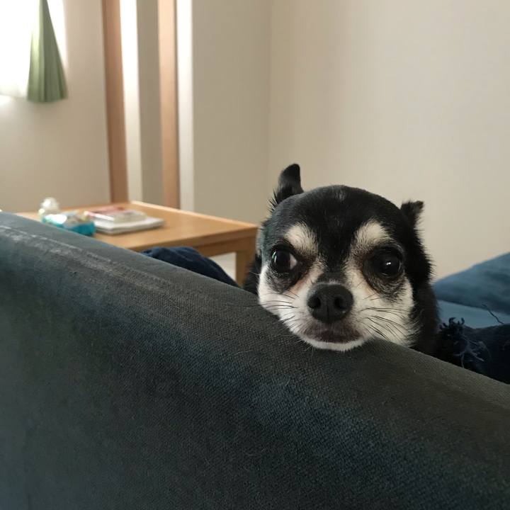 E60dc640 a496 400c bb1b 75a6eec7f9c7 1562632959608