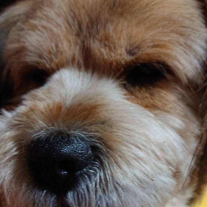 E60dff9b d3ce 4a67 9c16 b082b4822882 1582036732942