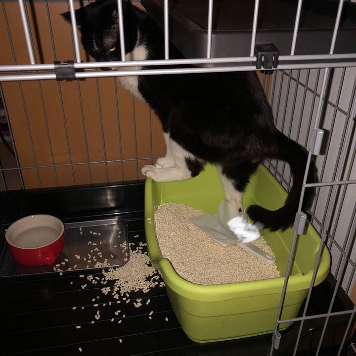 E60e136b 1056 4dcf 8a66 295753b33cec 1610141933404