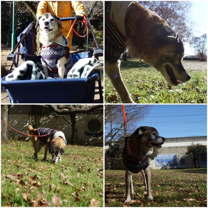 E60e494e 0223 4bb4 93ab a41cd4292d40 1575779108664