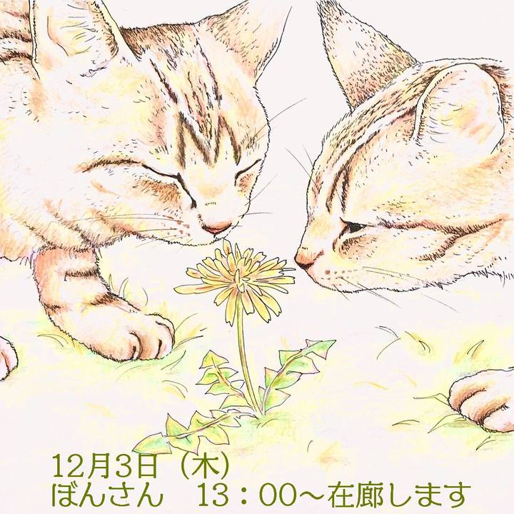 E60e5579 8e4f 40b4 ae75 2408c33dba46 1606916058486