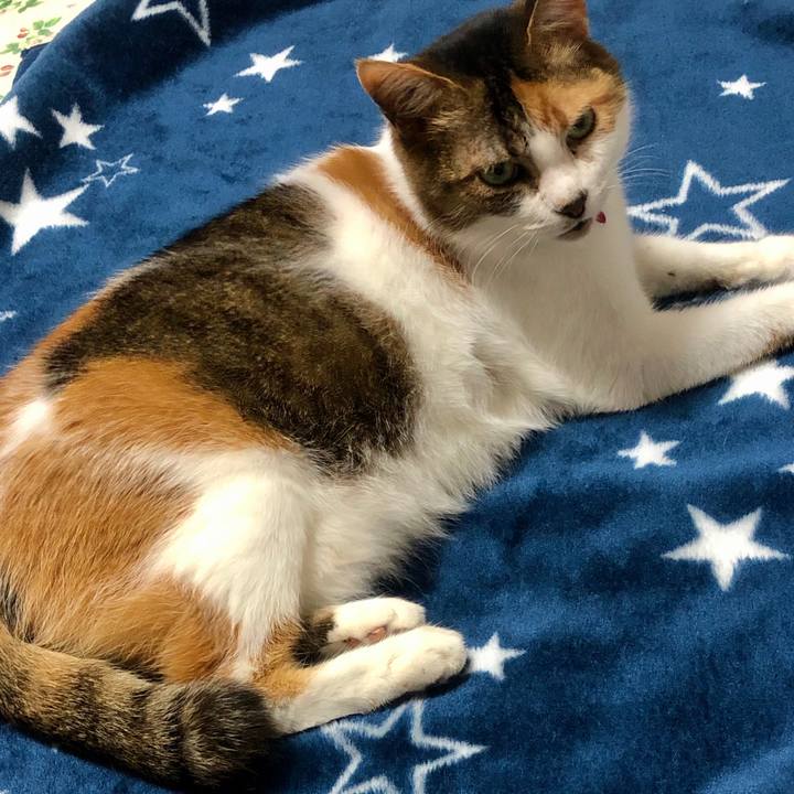 E60eb4bc 2efe 4efb 994d dd9f63c7b032 1589551895538