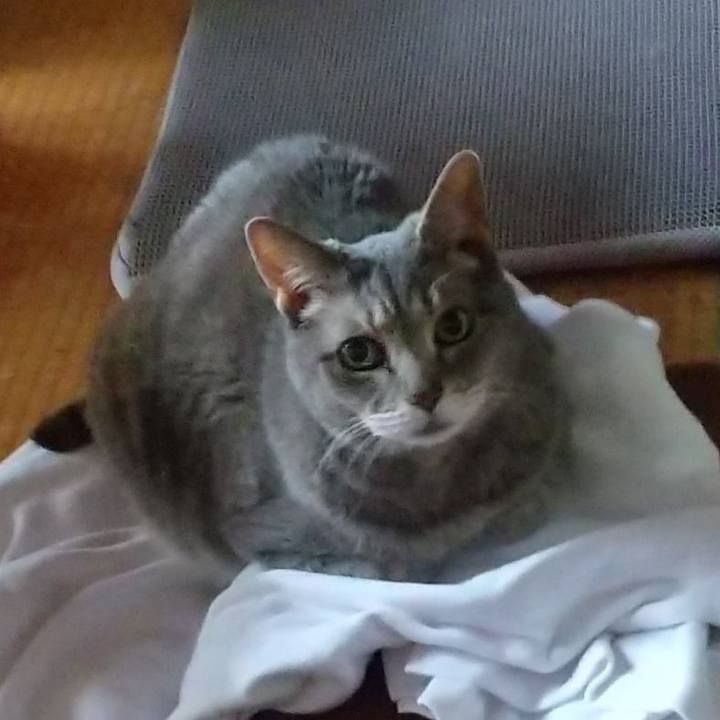 E60ebfad 4909 4ea3 824c 0784c524ef8f 1655850585162