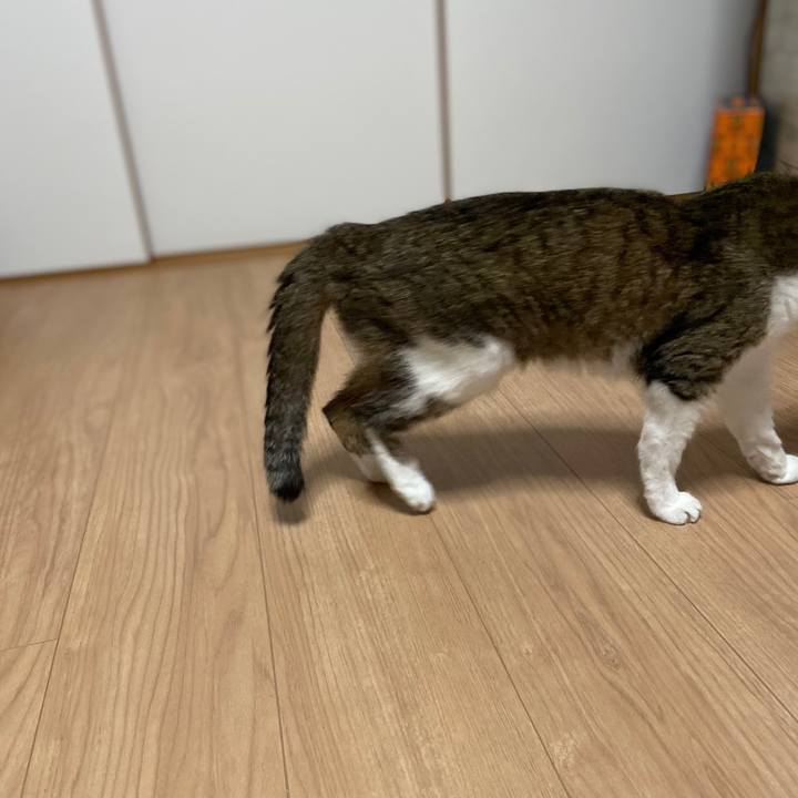 E60ed2b0 e406 4846 983c 8edcbf02e274 1572352162595