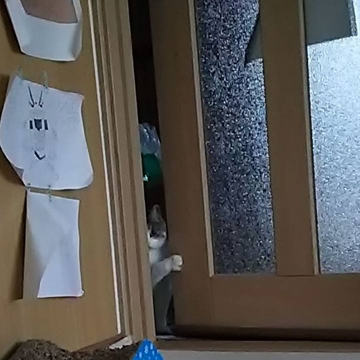 E60ee357 62b0 469a b515 c0e89e35b7dd 1510667796188