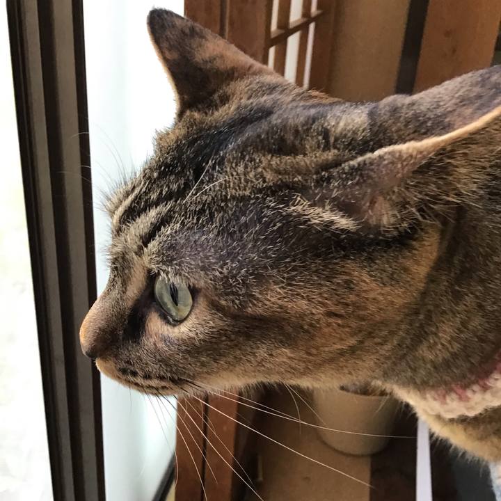 E60f2224 1e37 4aa6 b593 ddaa6f3886fb 1655454263585