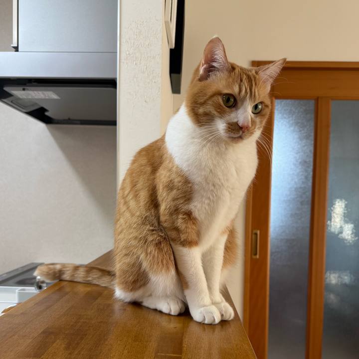 E60f45b8 f885 4d09 a5d6 5a6138a0bee5 1769739834386