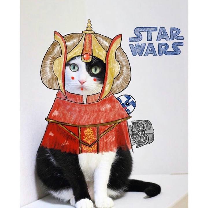 E60f5cc4 853d 475f 9695 82b6d2f2a0b6 1714828118854