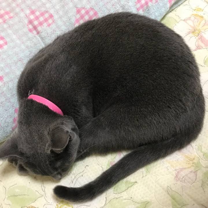 E60f5d34 d64a 4fc5 b05c b1e0547c409d 1538052243113