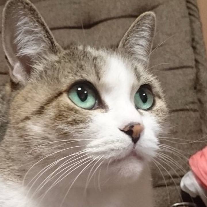 E60fb4fb a468 4167 885a 6f41221733e2 1765322320699