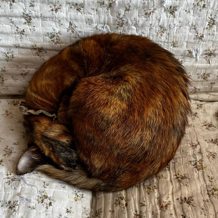 E60fc257 9a3a 4288 a32e 5dc1bf419141 1710040774885