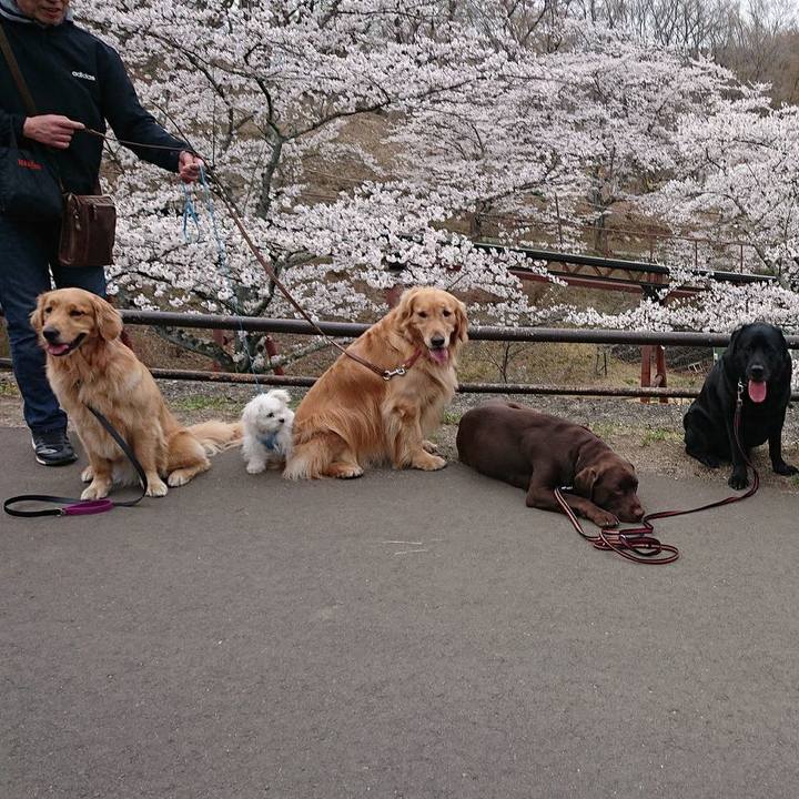 E60fd1ad e2e7 4b39 9909 6bdf3f6420e2 1555581708621