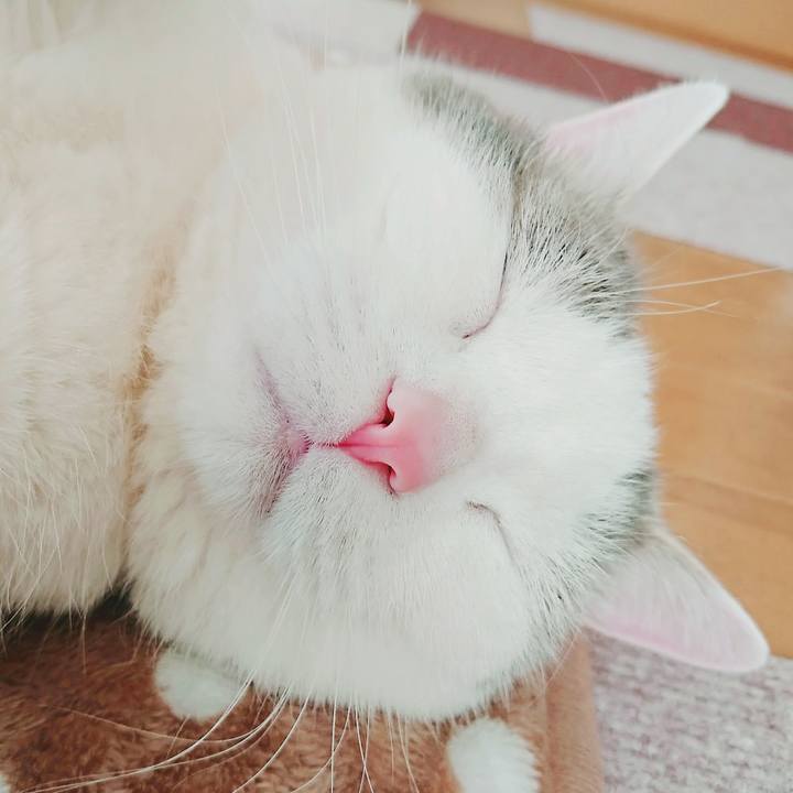 E60ff320 ecda 4f8a a1c2 cdb0ea7ab205 1520660795857