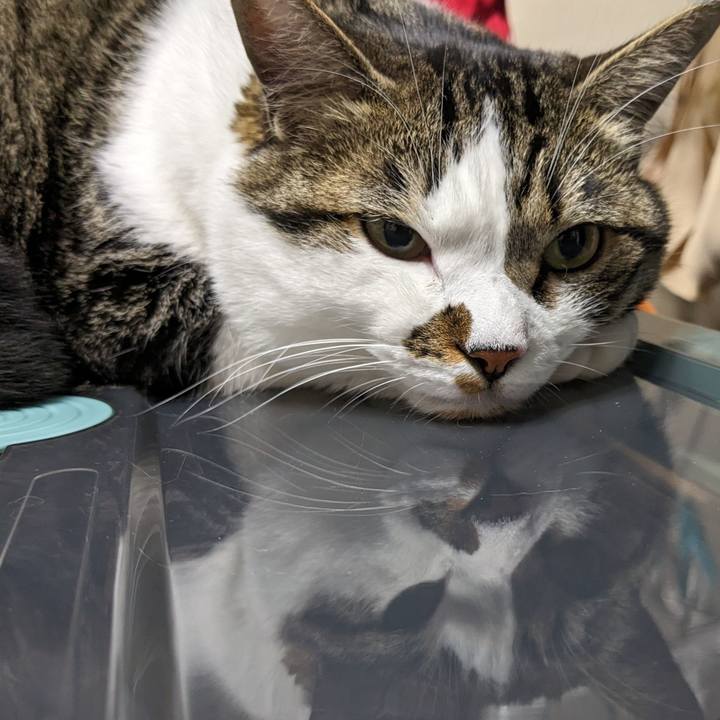 E61004be 07a3 4875 ade7 96af6f1355ed 1717929923252