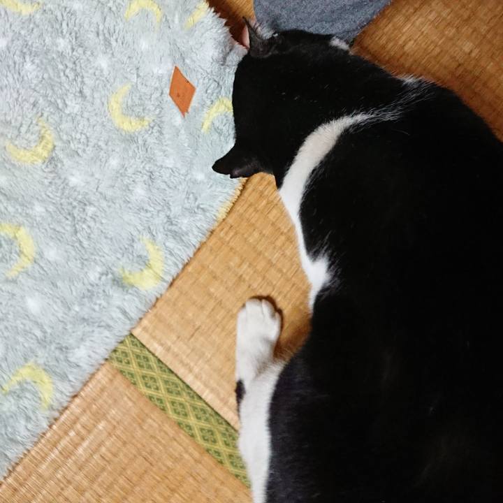 E6100f8a c71c 46a7 bb29 c1eb35f93850 1551151223433