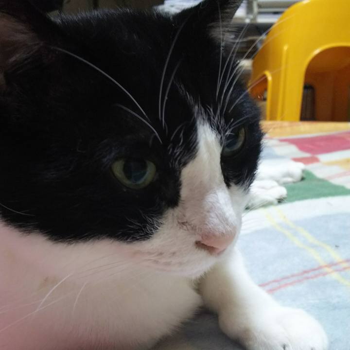 E6103bc2 71b4 4276 b886 476c047dd173 1542059046821