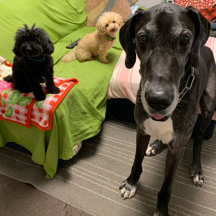 E610431b 7728 4270 8f9b 6b5f193676c9 1594680149944