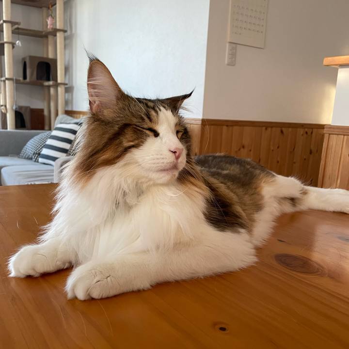 E61079b8 57a0 419f a2cc bfd1e37d0dff 1666908537543