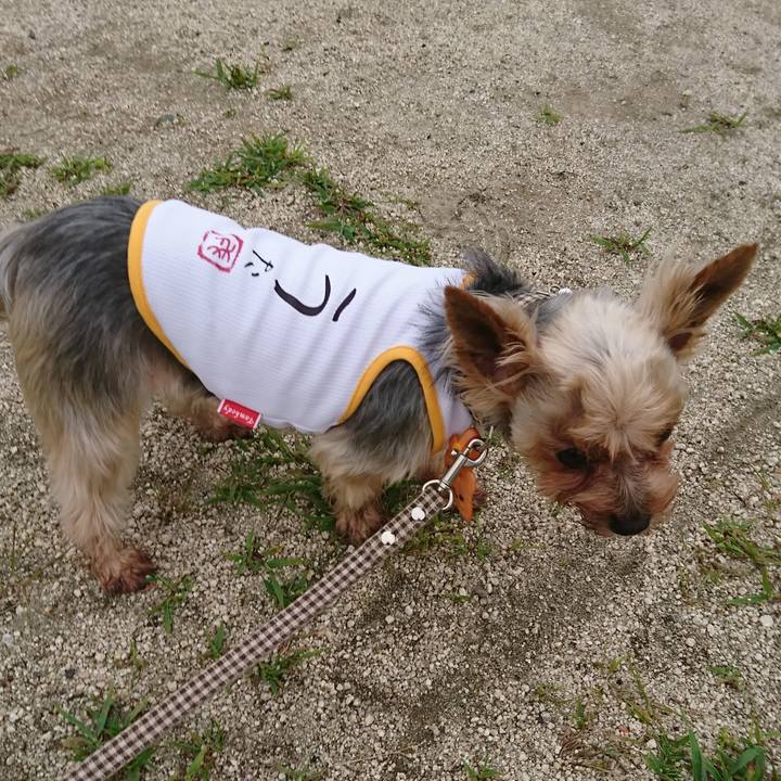 E610a9ce 3ff1 4edb 8656 2d1c90a4df5f 1529799753699