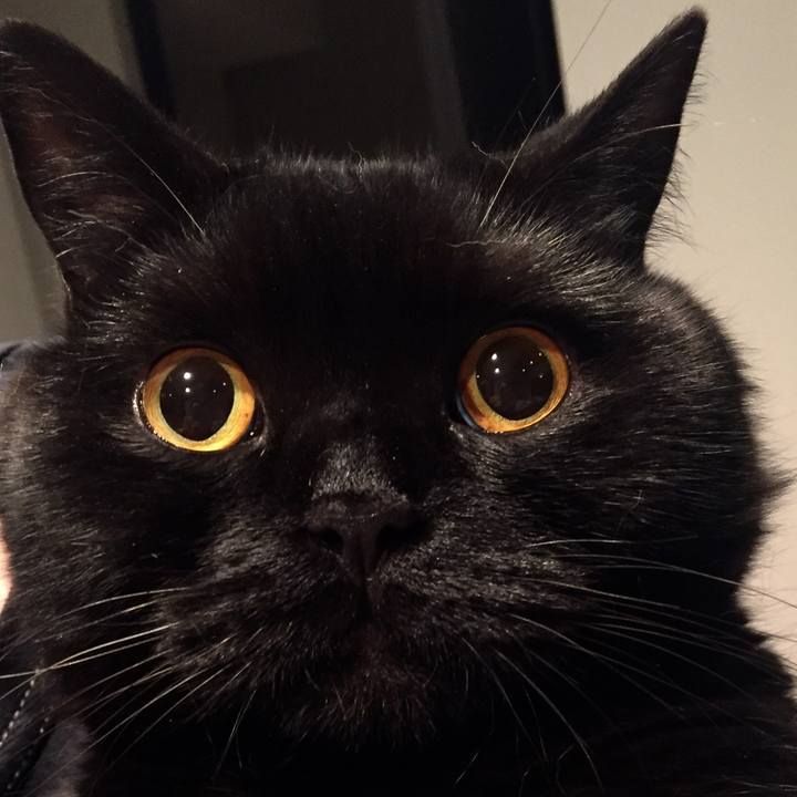 E610b464 598d 4f1a 8608 b42db9ec6b9a 1592393068557