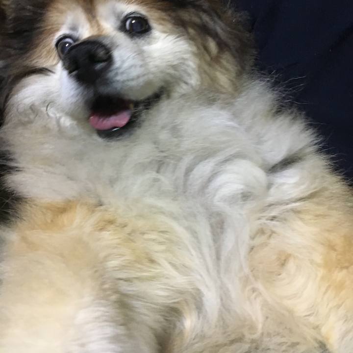 E610c8af af31 41ee 824d d07e77d5a124 1587822342547