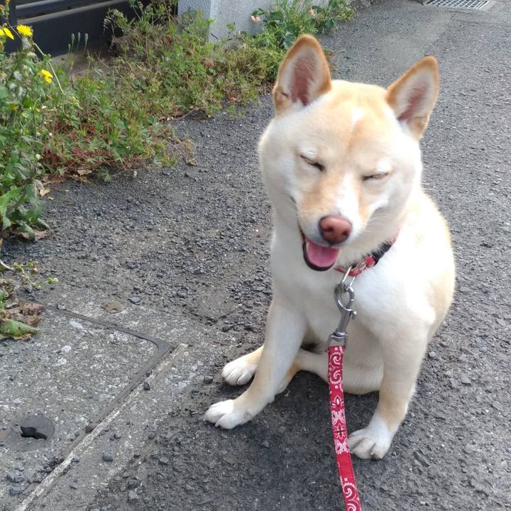 E610dfa7 b45e 4e64 985a af57f6655206 1526641214135