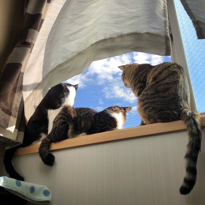 E61119e1 8101 4968 b056 ba23d8858dc2 1603952178023