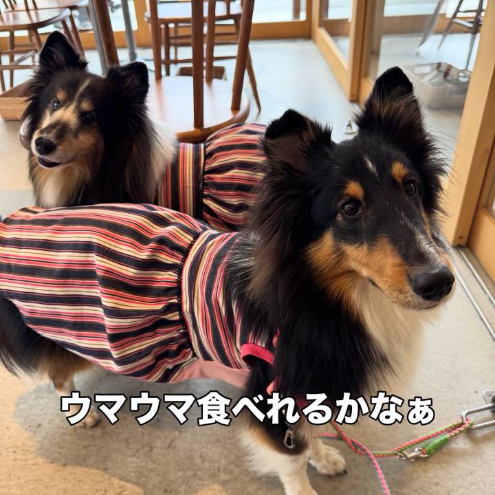 E6111ef9 08a9 4945 b42f 64621808144f 1763606200239