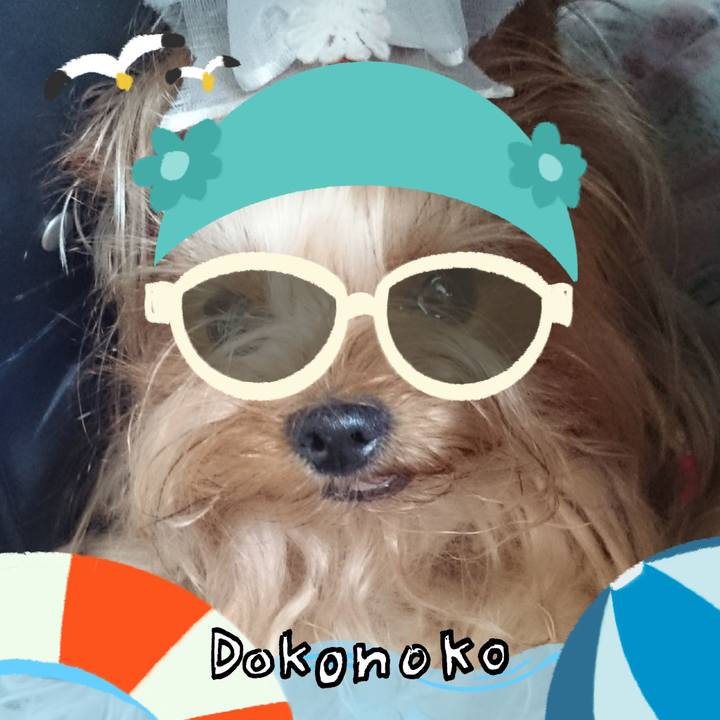 E611233d 646b 4d37 95a7 e2b8798be7b2 1723257681343