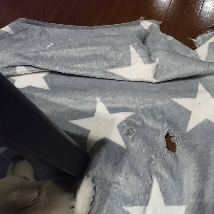 E611266a 03b5 4b3e ac4b 39925f7c6078 1589709592729