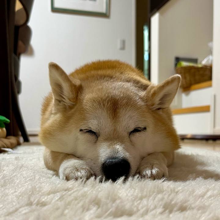 E6112e33 d5d2 4655 ac3f b1cac93ce864 1740833742439