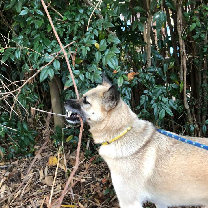 E6117c21 0cce 48ca a26d 7c99426c11f2 1575118234919