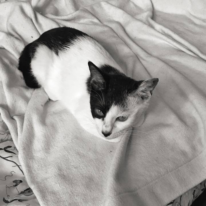 E611acf8 0211 4de2 acfd 248416b9df73 1599705489806