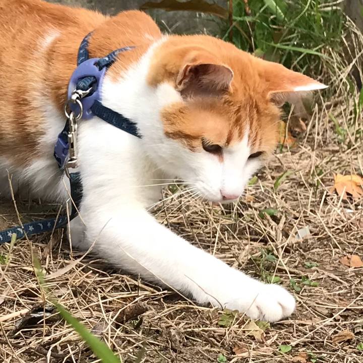 E611ae5c a7f1 4d51 b0b2 857ad316f695 1509591674505